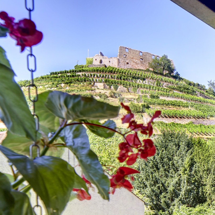 Schlossberg Staufen