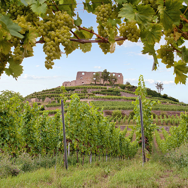 Staufen im Breisgau
